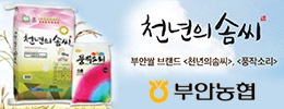 배너