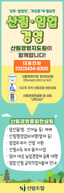 배너