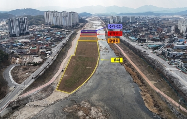 남원시, 춘향제 대비 9,000평 규모 '유채꽃밭' 조성 순항