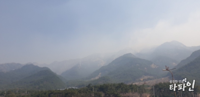 2019년 4월 4일 오전 11시께 전날 화재가 발생한 전북 남원시 대강면 고리봉 인근에는 아직까지 연기가 가득하다./사진=이상선 기자
