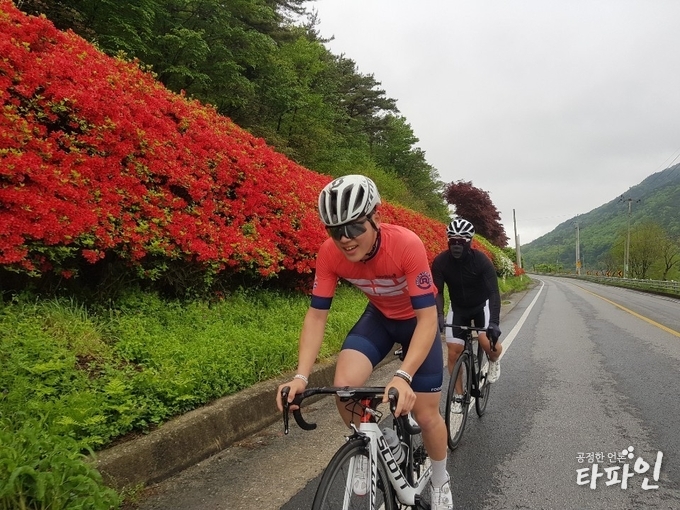 2019년 4월 30일 오전 전남 곡성군 오곡면 심청로에 핀 철쭉 사이를 달리고 있는 팀동신스캇 동호회원./사진=최봉오 기자