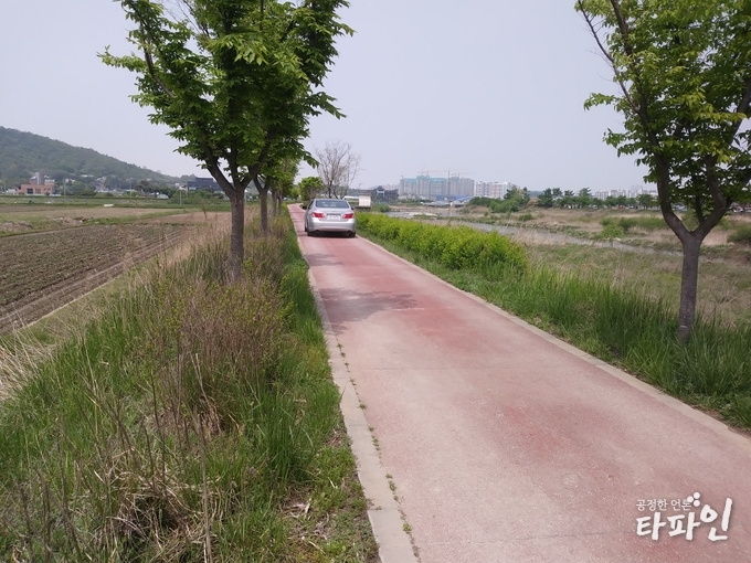 2019년 5월 1일 낮 12시께 전북 전주시 완산구 삼천자전거길을 가득 채운 외제 승용차가 아무런 망설임 없이 달리고 있다./사진=독자제공 