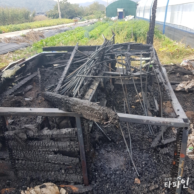 전주완산소방서 제공