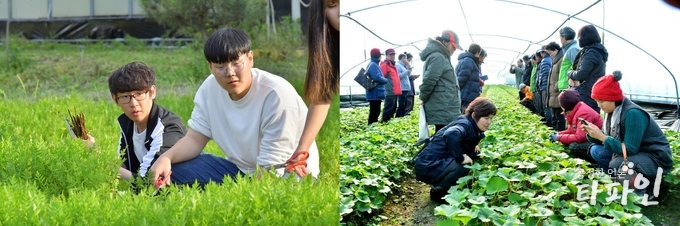 전북 순창군이 17일부터 '청년실습농장'에서 농사를 배울 교육생 모집에 나섰다. 청년실습농장은 청년 귀농인들이 직접 작물을 파종, 재배관리, 생산, 가공, 판매 등을 직접 체험할 수 있도록 돕는 시스템이다.(순창군 제공)2020.2.17/타파인