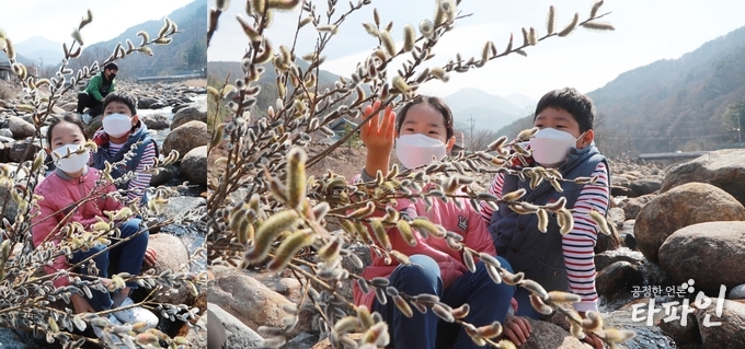 2일 오전 만물이 겨울잠에서 깨어난다는 경칩을 사흘 앞둔 엄청강.(함양군 제공)2020.3.2/타파인