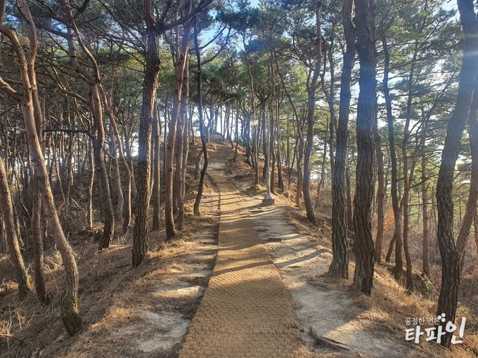 2일 전북 남원시에 따르면 지역을 대표하는 등산로인 남원 덕음산을 쾌적하고 안전한 산행을 할 수 있도록 등산로 정비에 박차를 가하고 있다고 밝혔다.(남원시 제공)2020.12.2/타파인