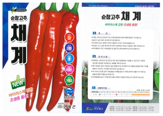 7일 전북 순창군에 따르면 종묘회사인 코레곤 종묘와 공동개발한 '순창 고추' 두개 품종에 대해 오는 8일부터 본격적으로 농가에 보급한다고 밝혔다.(순창군 제공)2021.1.7/타파인