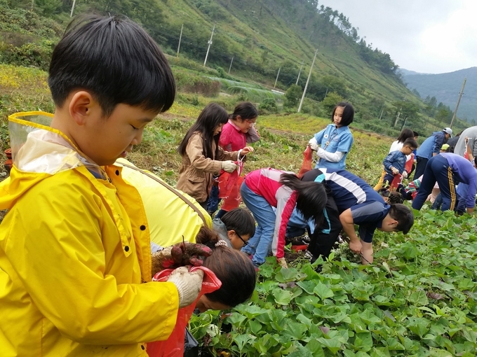 8일 전북 순창군에 따르면 군은 지난해 20~30명이상의 단체 관광객에게 지원하던 여행상품을 8명 이상 소그룹 단위로 대폭 조건을 완화한다고 밝혔다.(순창군 제공)2021.6.8/타파인