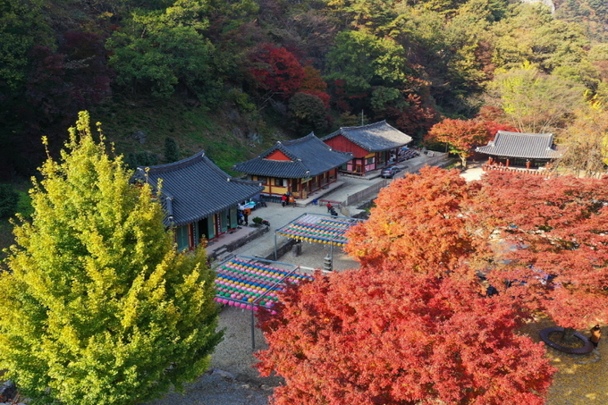 전북 순창 강천산에 단풍이 들며, 전국에서 관광객이 몰리고 있다. /순창군 제공