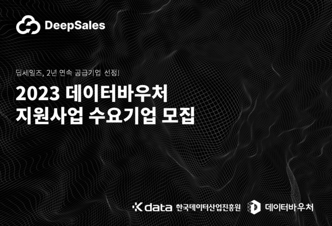 솔루션 전문기업 딥세일즈