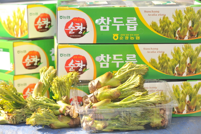 순창군
