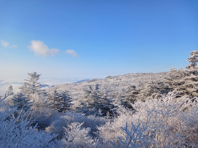 지리산 세석. /지리산국립공원경남사무소