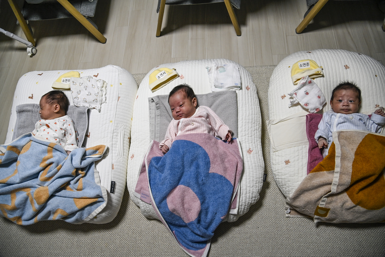 세쌍둥이./남원시