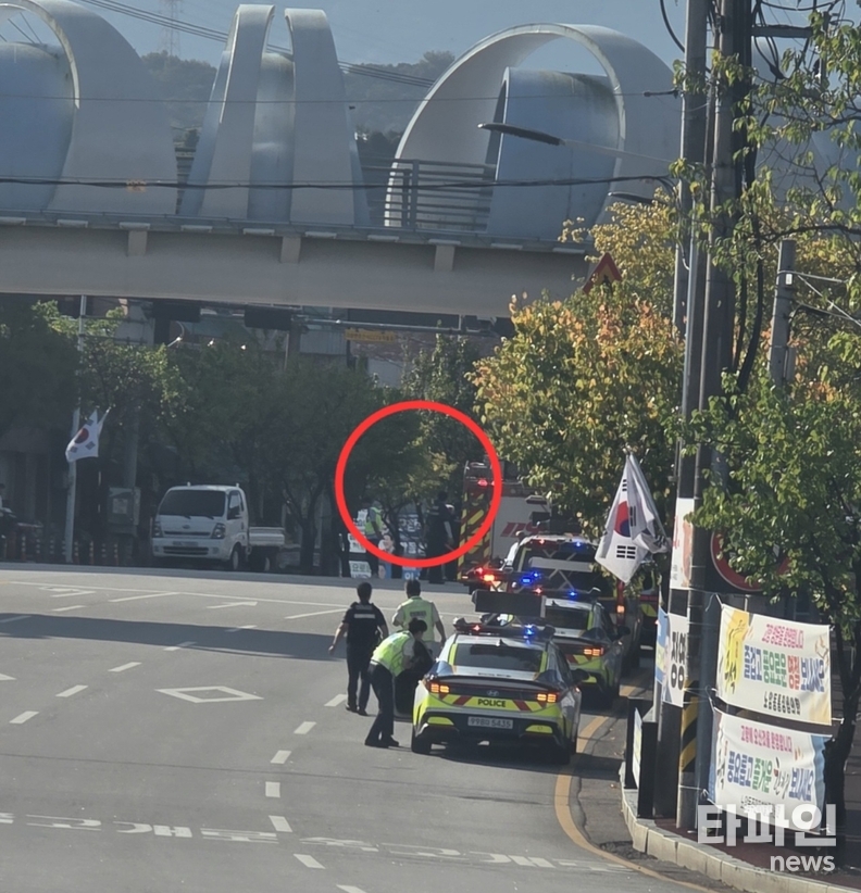 출처=독자제공