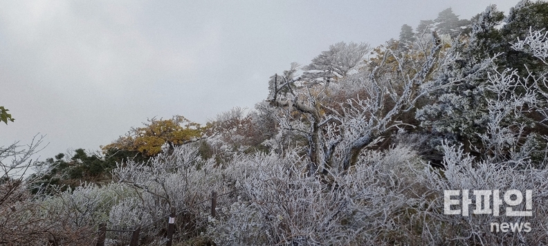 지난 10월 27일 오전 전북 무주 덕유산 향적봉(해발 1,614m) 일대에 올해 첫 상고대가 피어오르며 흰빛 장관을 연출하고 있다. (출처=덕유산국립공원사무소)