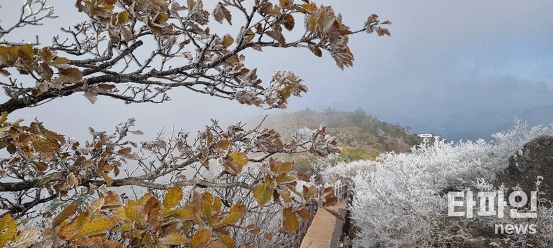 지난 10월 27일 오전 전북 무주 덕유산 향적봉(해발 1,614m) 일대에 올해 첫 상고대가 피어오르며 흰빛 장관을 연출하고 있다. (출처=덕유산국립공원사무소)
