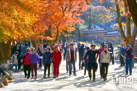 [가을여행 특집] “단풍 절정, 강천산으로 오세요”...순창군, 10월 24일부터 가을 성수기 특별 운영 돌입