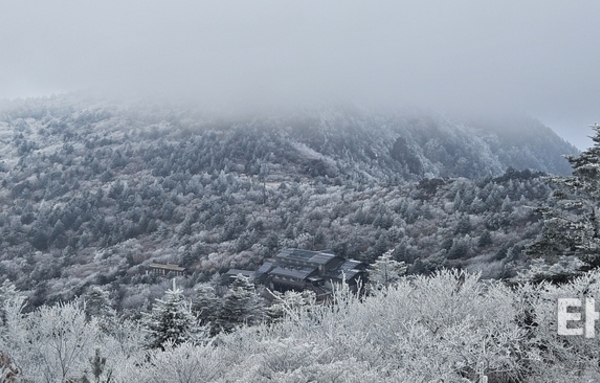 지리산에 올겨울 첫눈…1,400m 이상 ‘순백의 장관’ 펼쳐졌다