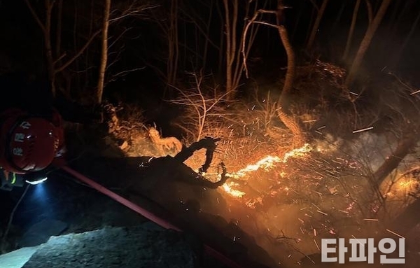 지리산 경남 마천 산불...박은식 산림청장 직무대리, 산불현장 총지휘